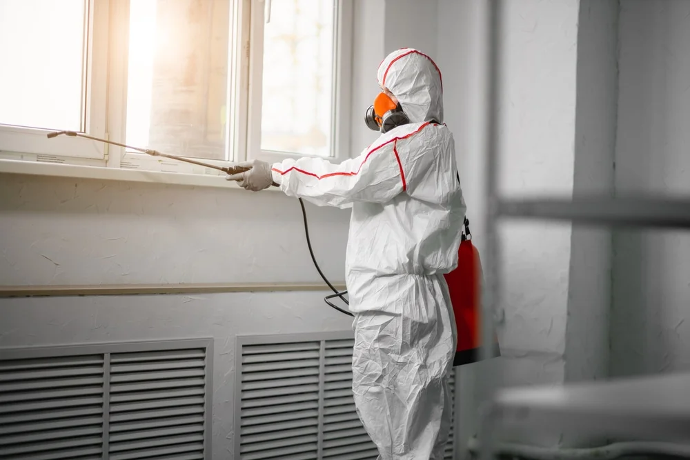 Professional mold remediation services in Peggy, TX